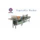Industrial 380v 3p 1500kg/H Vegetable Fruit Washing Machine