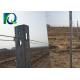 Agricultural Galvanised Steel Vineyard Posts 2500x1.5MM High Wind Resistance