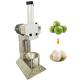 China new design fruit coconut papaya pomelo pineapple breadfruit peeling machine