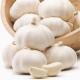 HACCP Natural Fresh Pure White Garlic 4.5cm 5.0cm 5.5cm