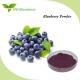 Anti Aging Fruit Vegetable Powder Supplement Soluble Blueberry Fruit Powder