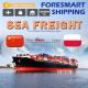 China To Poland International Sea Freight Services , 20ft 40ft FCL LCL Sea Shipping