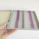Human Diseases 15pcs Prepared Microscope Slides For Hospital Research