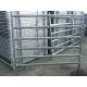 Australia pre-galvanized 40*40mm/40*80mm Cattle Panels For Sale (china manufacturer)
