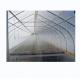 Green Vegetable Tunnel Greenhouse With Easy Assembly And 150/200micro Film