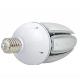 E39 LED Corn light 80W high lumen waterproof LED Bulb lamp garden use