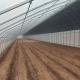 Large-Scale Cucumber Farming Made Easy with Humidity-Controlled Commercial Greenhouse
