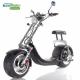 Off Road 2 Wheel Electric Scooter , Electric Fat Wheel Scooter For Adult , Eco