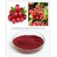 2015 Best Price Cranberry Extract Proanthocyanidins 50%