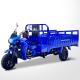 Motorized 800 W DAYANG 300 Petrol 3 Wheel Motorcycle and Tricycle for Heavy Loading
