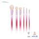 ABS Plastic Handle Makeup Brush Set 6Pcs Gradien Red Color For Beginners