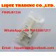BOSCH Genuine and New Common rail injector valve F00RJ01334 for 0445120047, 0445120091