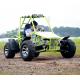 COC Standard EEC Automatic Dune Buggy 200cc 350kg Load Capacity For Adults Racing