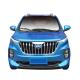 China raysince factory hot sales model cars electric sedan 4 Seats 5 door new energy mini electric car for adults