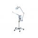 WT-9751 Facial Steamer and Mangivier Lens 2 in 1 beauty machine Beauty Salon Instrument