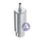 Camlog® 3.3 3.8 4.3 5.0 6.0 Dental Implant Internal Titanium Premill Blank Abutment 10mm Engaging