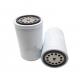 Fuel Filter P502504 525517D1 3460523 5300560 1000012854 2656F843 T28042012 for Truck