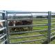 Cattle Panel Gate Cattle Yard Fence Heavy Duty 6 Oval 1.6mm thick 1.8Mx2.1M