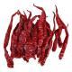 Food Additive Air Dried Paprika Peppers With Stem For Color Pigment Extraction 10-20cm