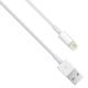USB Type C Fast Charging Lightning Cable Phone Cable Data Cable OEM 480 Mbps Data Transfer