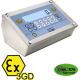 Table 22 Zones Weighing Scale Indicator For ATEX 2