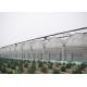 Multipurpose Plastic Cover Greenhouse For Vegetable Tomato Strawberry Pepper