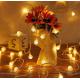 Camping Decoration Light Lamp String for Party led tent string lights
