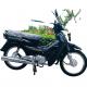 Four Stroke 125cc Moped Motorcycle Air Cooled Customized Color