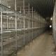 6 8 Tiers Pullet Layer Chicken Cage 17000 Eggs /H Collection Poultry Battery Cages