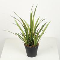 High Simulation 45 CM 56 CM 65 CM Artificial Orchid Leaves