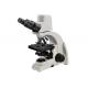 1000X Digital Optical Microscope 5MP Digital Camera Digital Biological Microscope