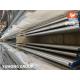 AMSE SA213 TP304 304L Stainless Steel Seamless U Tube For Heat Exchanger Boiler
