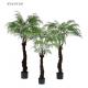 Tropical Artificial Outdoor Ferns Palm Tree Environmental Customized Size