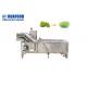 SUS304 Fruit And Vegetable Washing Machine Grape Cleaner Machine