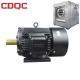 Low Noise Adjustable Speed Electric Motor , Vsd Electric Motor 0.37Kw-30Kw