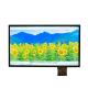 21.5 Inch TFT LCD Display Panel  IPS 1920x1080 LVDS Interface TFT Capacitive Touch Screen