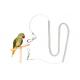 Coiled Parrot Safe Rope Prevent Bird Accidental Flying Expanding 20 Meter