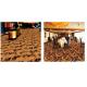 Foldable Hotel Room Carpet Cut Pile Pattern Anti - Fatigue Feature