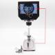 continuous zooming SD digital stereo industrial microscope with brightness 8 LED which avaliable to 100 thousand hours
