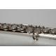 Ebony 17 open hole flute, in line, silver plated key flute factory China flute high grade Professional flute constansa