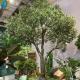 Fiberglass Trunk Artificial Olive Tree Large Size For Outdoor Landscape Decoration