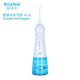 Electric Portable Cordless Water Flosser Rechargeable 800 - 1200ml/Min With 3 Types Nozzle