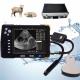 8GB Memory Livestock Ultrasound Machine 7 Inch LCD Screen Portable Veterinary Ultrasound Scanner
