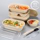 Biodegradable 2 Compartment Bagasse Sugarcane Bento Box - Sustainable Disposable Takeaway Food Container