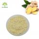 FDA Ginger Extract Supplement Powder Spicy Aromatic