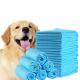 Eco Friendly Bio Degradable Pet Training Pad for Dogs Cats Animals in XS-XXXL Sizes