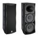 dual 15 inch high power speaker disco  sound  night club audio  conference room