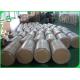 CCKB / Clay Coated Kraft Back Duplex Paper Board Roll Packing White Color