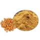 99% Herbal Extract Anti Tumor Peach Kernel Powder