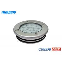 36W / 12W LED Swimming Pool Lights , Cree LED Underwater Pool Lights